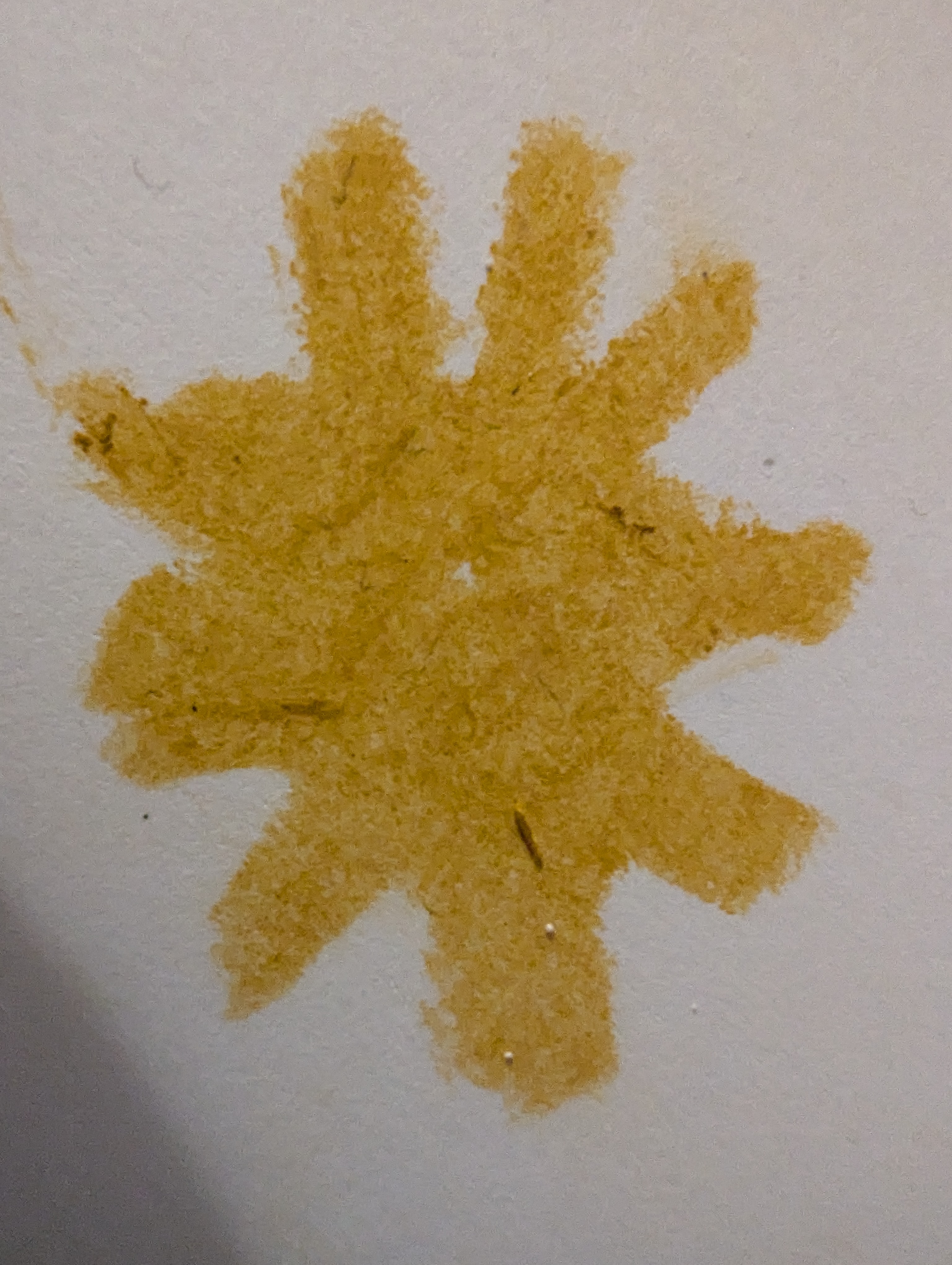 Laura Gallier CPA for Houston City Council District C